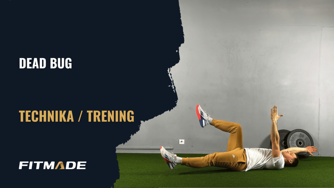 Dead bug - Jak zrobić? | Trening i plan treningowy | FITMADE