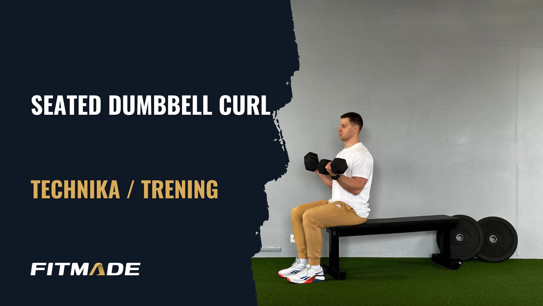 Seated dumbbell curl