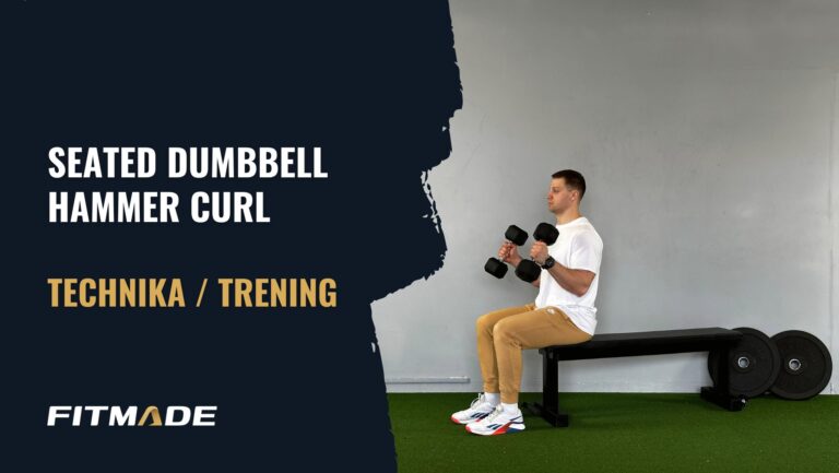 Seated dumbbell hammer curl